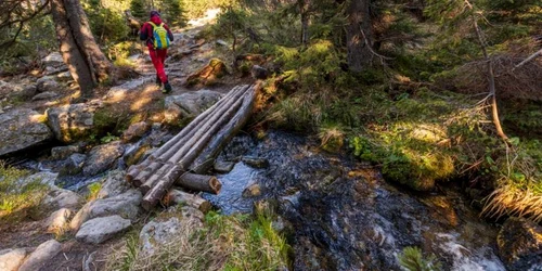 retezat poiana pelegii lacul bucura foto marius turc