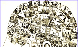 640px Human mind, Human Universals png