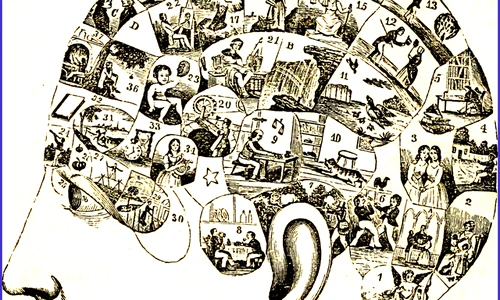640px Human mind, Human Universals png