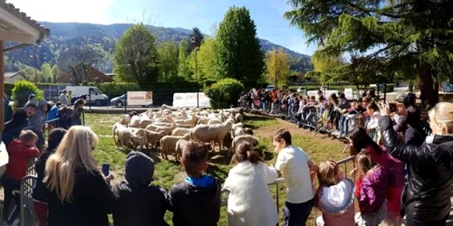 Oi inscrise la o scoala din Franta pentru evitarea inchiderii unei clase FOTO francebleu.fr