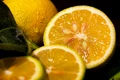 lemon 5724522 640 jpeg