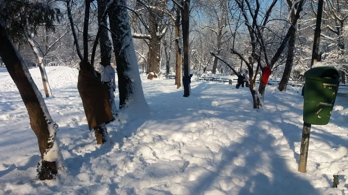 
    Mai multe geci şi paltoane au fost agăţate în copacii din parc  