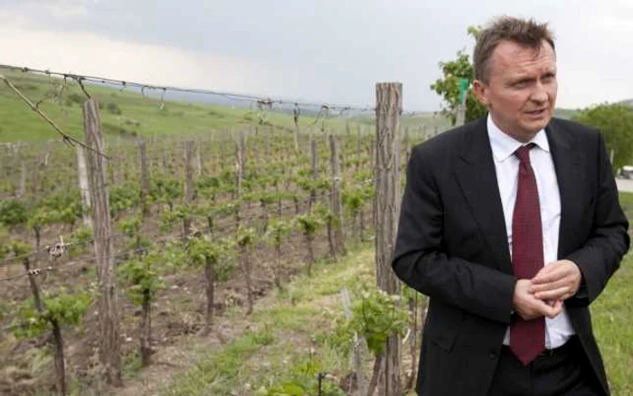 Walter Friedl pe domeniul LacertA Winery, la Finteşti, în judetul Buzău Foto Mediafax
