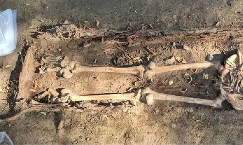 YWgPZza5jAvJMW69fMfXZh 970 80 png