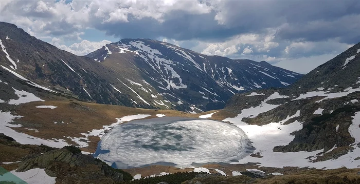 
    Albăstrele de munte au apărut și ele  