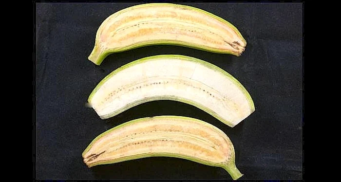 sida banane