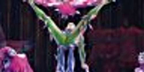 Cirque du Soleil - Varekai