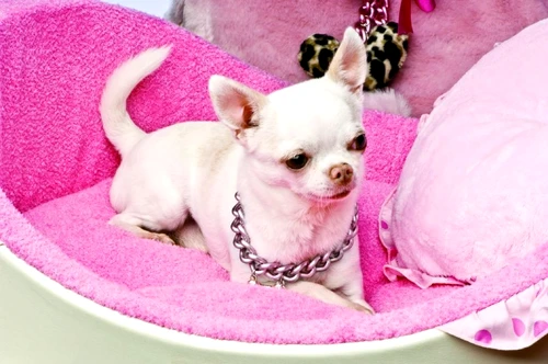 1 47661 original jpg jpeg