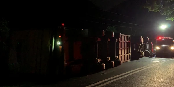 TIR plin cu suine răsturnat pe Valea Oltului - DN7-E81 - la Câineni - Vâlcea soldat cu rănirea şoferului Foto Adevărul