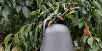 Boxa VAPPEBY cu lampa FOTO Adrian Pogîngeanu