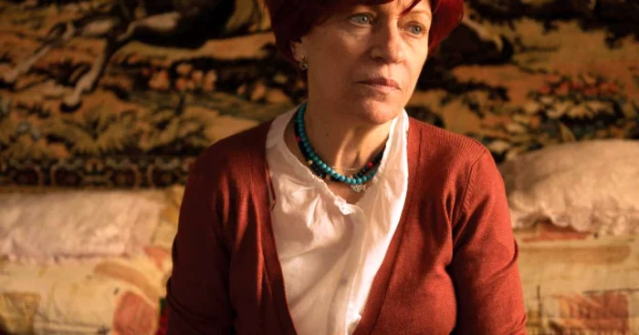 Afişul TIFF din 2013 FOTO: TIFF