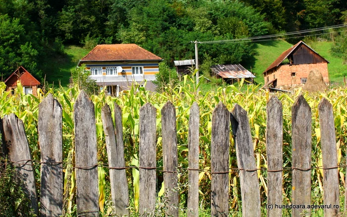 Gospodărie din comuna Bunila, Ținutul Pădurenilor. Foto: Daniel Guță