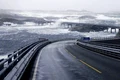 sosea norvegia  jpg