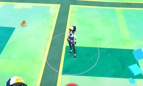 pokemongo png
