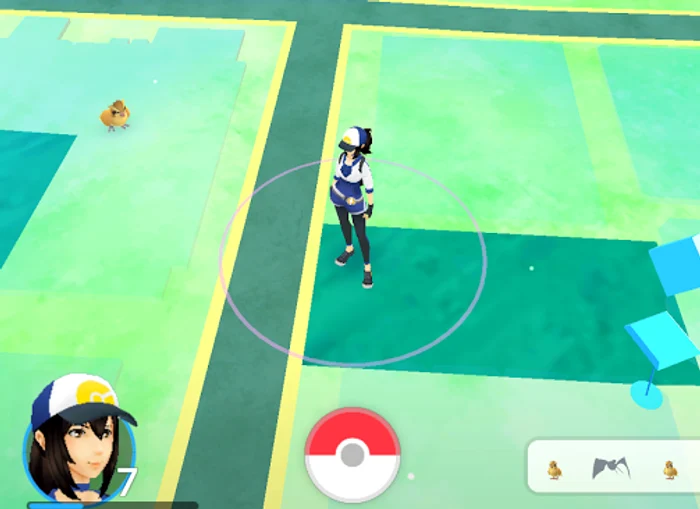 
    Serverele Pokevision sunt, momentan, indisponibilefoto: captură  