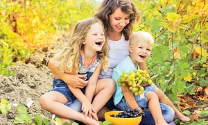 struguri 981551545115121 jpeg