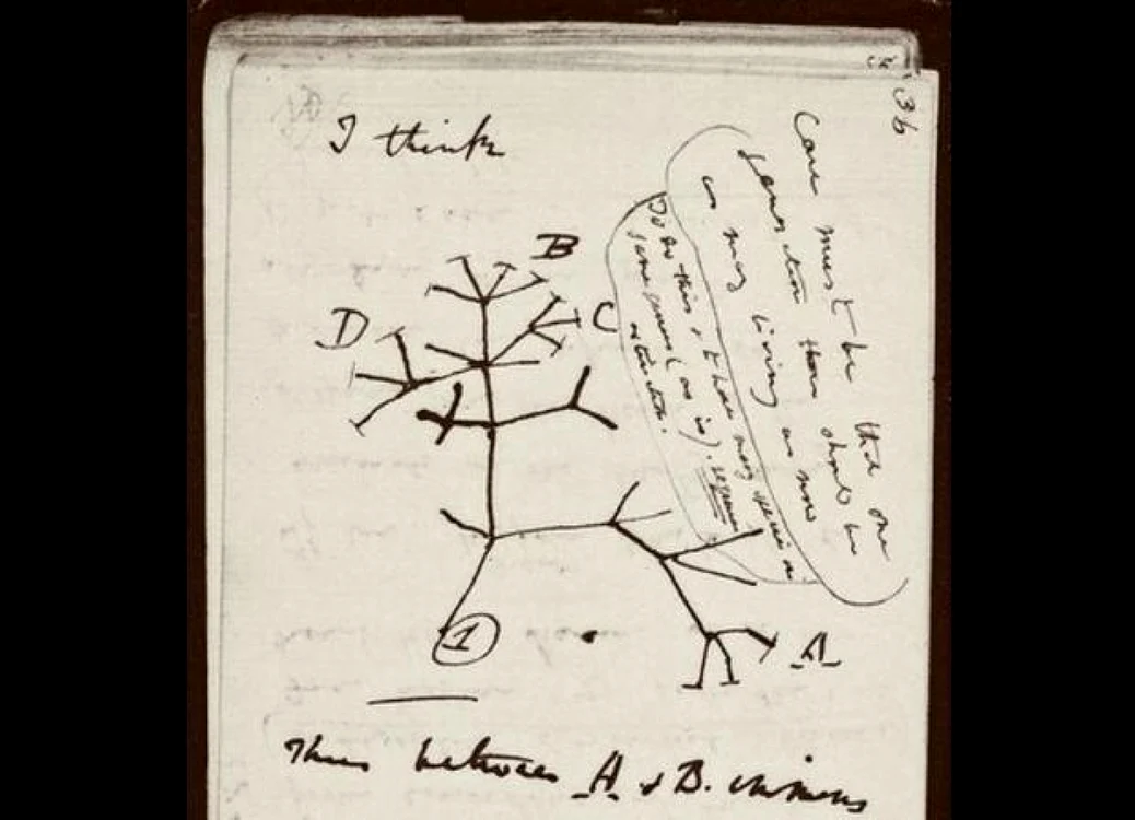 Carnet de notiţe Charles Darwin FOTO CAMBRIDGE UNIVERSITY DIGITAL LIBRARY