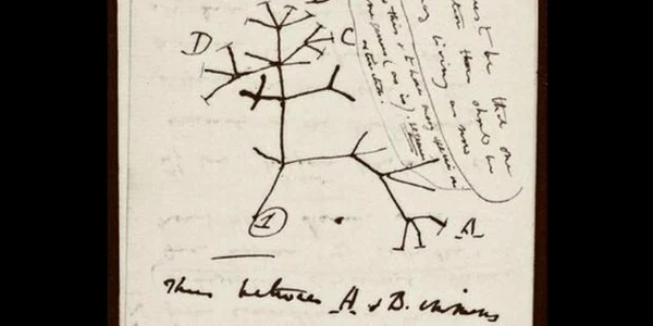 Carnet de notiţe Charles Darwin FOTO CAMBRIDGE UNIVERSITY DIGITAL LIBRARY