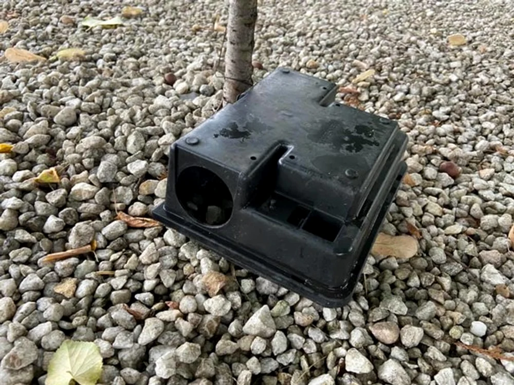 
    Așa arată cutiile negre, capcane pentru rozătoare   
