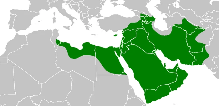 mohammad adil rashidun empire at its peak close png png