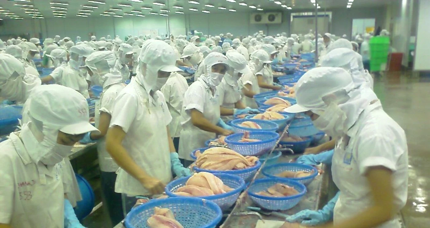 Industria alimentară - otrava administrată populaţiei de
dragul profitului