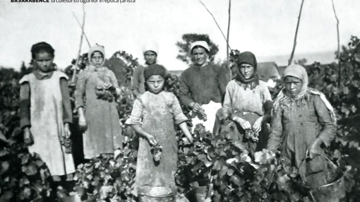 Basarabia vinicolă, în rapoarte ale Legaţiei Române la Sankt Petersburg din anul 1902 jpeg