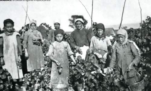 Basarabia vinicolă,  în rapoarte ale Legaţiei Române la Sankt Petersburg din anul 1902 jpeg