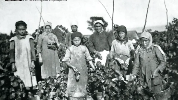 Basarabia vinicolă, în rapoarte ale Legaţiei Române la Sankt Petersburg din anul 1902 jpeg