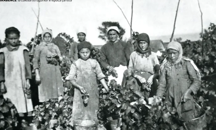 Basarabia vinicolă,  în rapoarte ale Legaţiei Române la Sankt Petersburg din anul 1902 jpeg