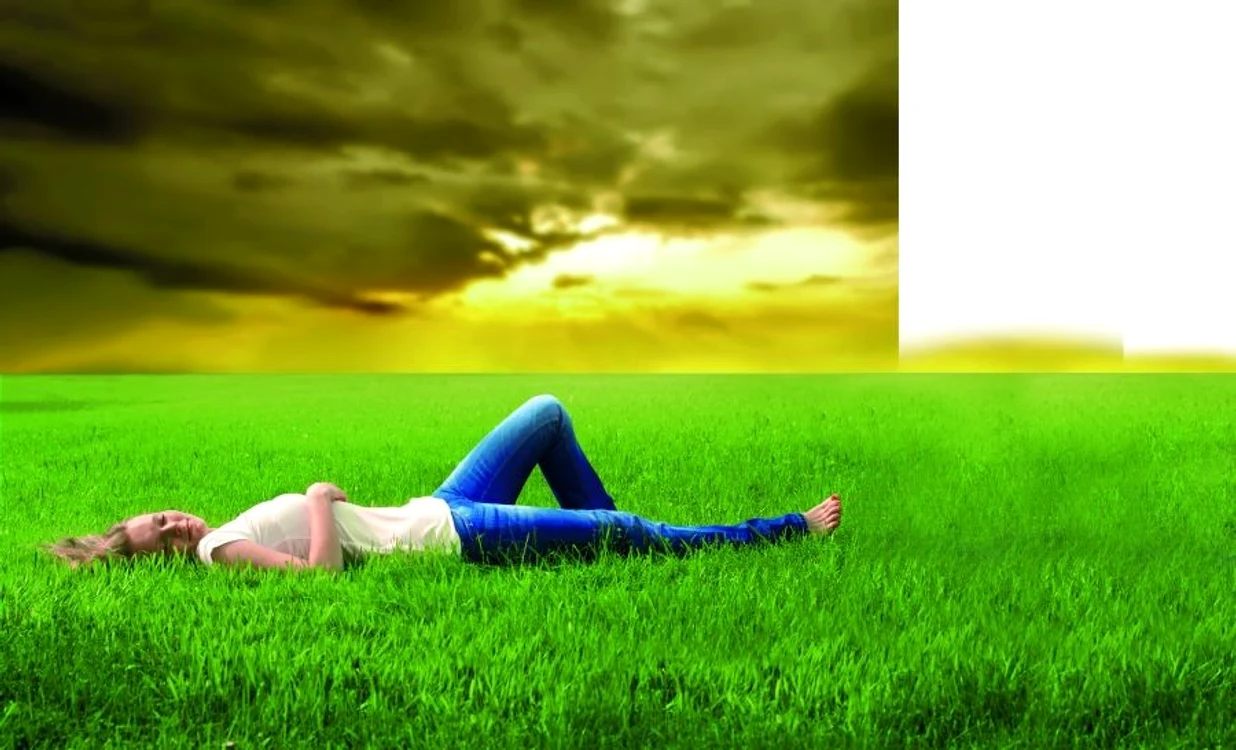 ce înseamnă când visezi animale jpeg