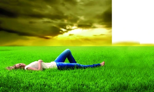 ce înseamnă când visezi animale jpeg