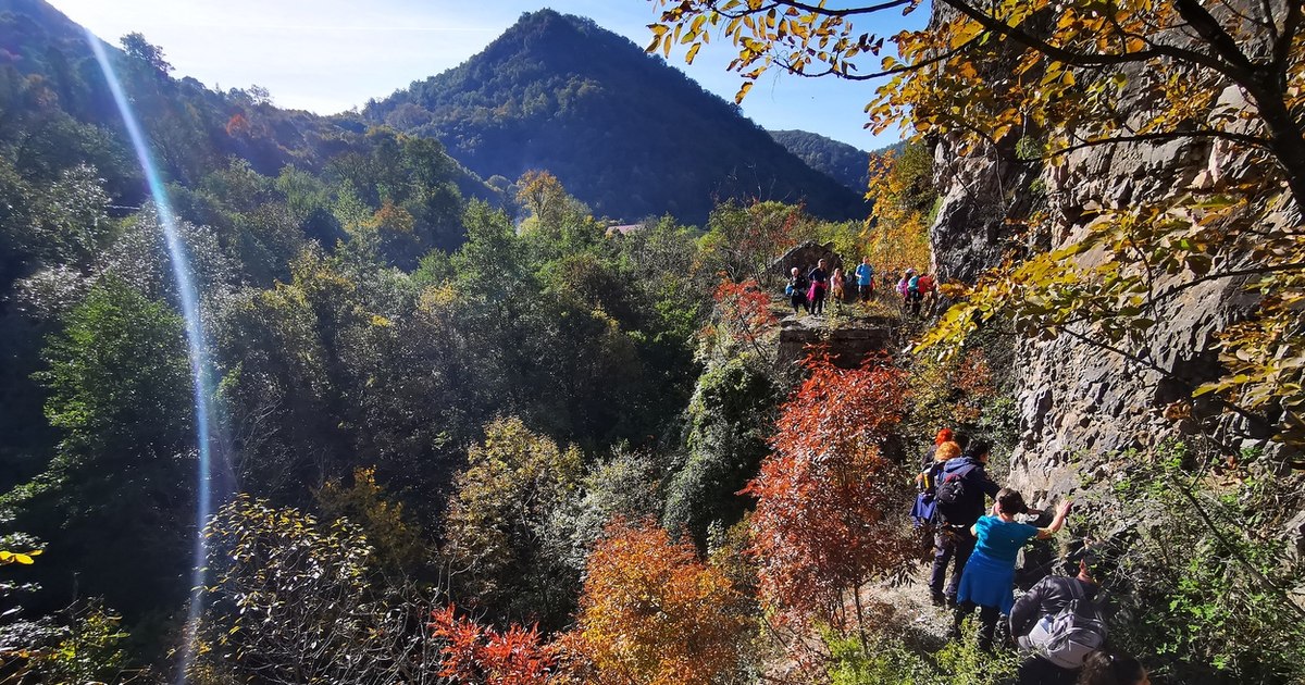 Cele mai utile sfaturi pentru drumeții de toamnă pe munte. „Dacă un urs dă semne că vrea să vă urmărească…”