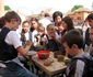 festival alba