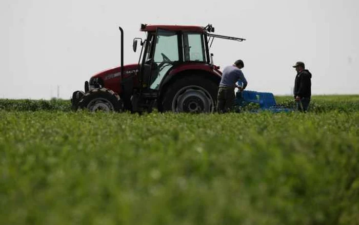 Drumurile vor asigura accesul la zece societăţi comerciale