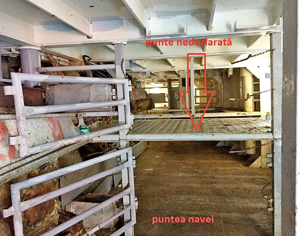 
    Compartimentele ascunse găsite pe navă  