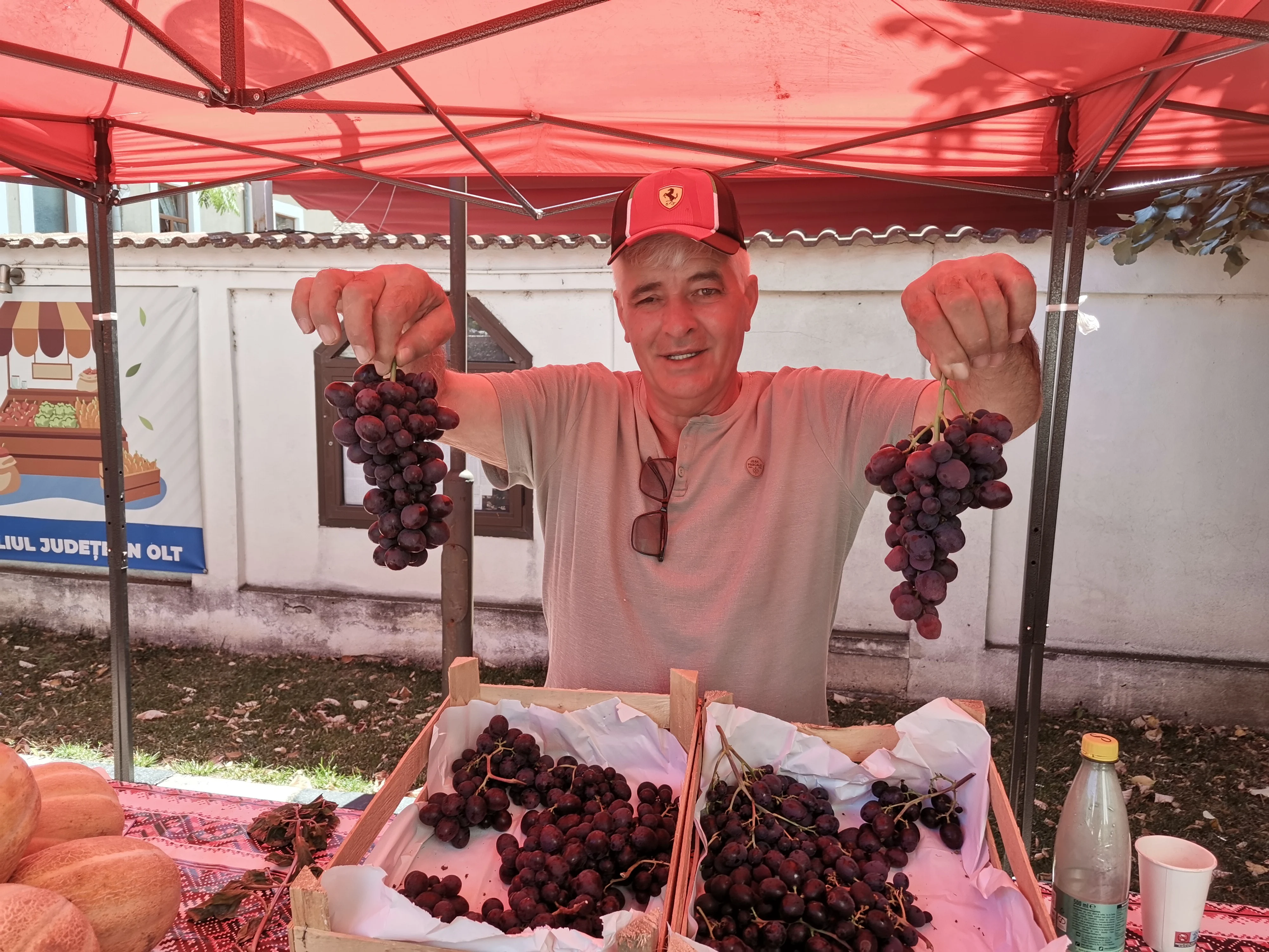 Strugurii de solar, „arma” oltenilor împotriva importurilor din Italia: „Ai noștri sunt și mai buni!”