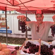 struguri de solar in piata slatina, duminica, 5 iulie 2026   foto alina mitran (1) jpg
