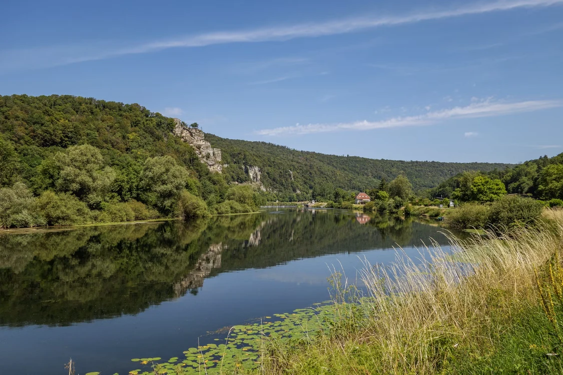 Seceta face ravagii în Franța/ sursa pexels