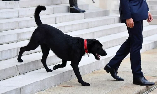 emmanuel macron hepta 3063157 jpg jpeg