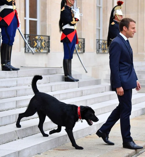 emmanuel macron hepta 3063157 jpg jpeg