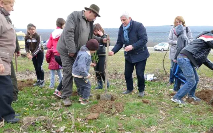 Actiunea de plantare de copaci la Basesti