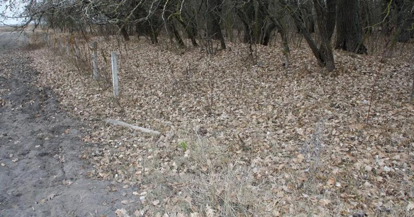 Gardul a mai rămas în picioare în câteva zone