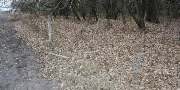 Gardul a mai rămas în picioare în câteva zone
