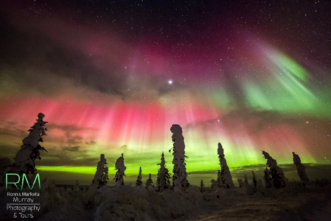 Aurora boreală văzută în Carolina de Nord, SUA