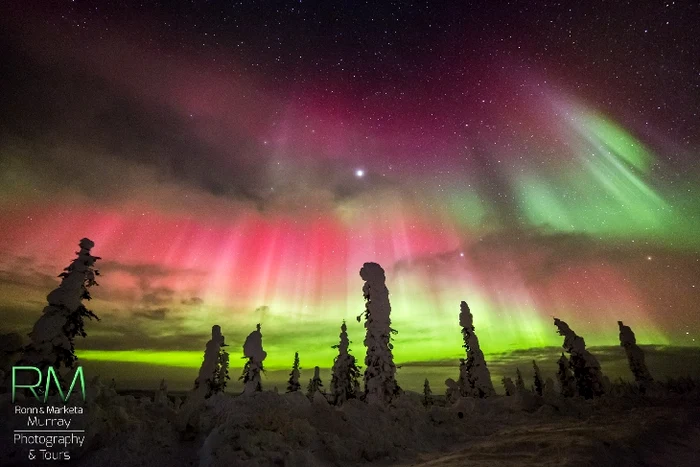 Aurora boreală văzută în Carolina de Nord, SUA