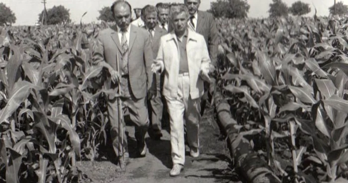 Nicolae Ceauşescu la IAS Amzacea - 20.VI.1979. Cota 88/1979 Fototeca online a comunismului românesc