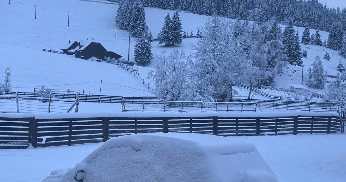 Iarna s-a întors în forță. Ninge în Braşov, Prahova, Suceava, Vaslui, Covasna și Harghita