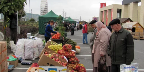 Un kilogram de mere de la producătorii din Fălticeni costă 2 lei