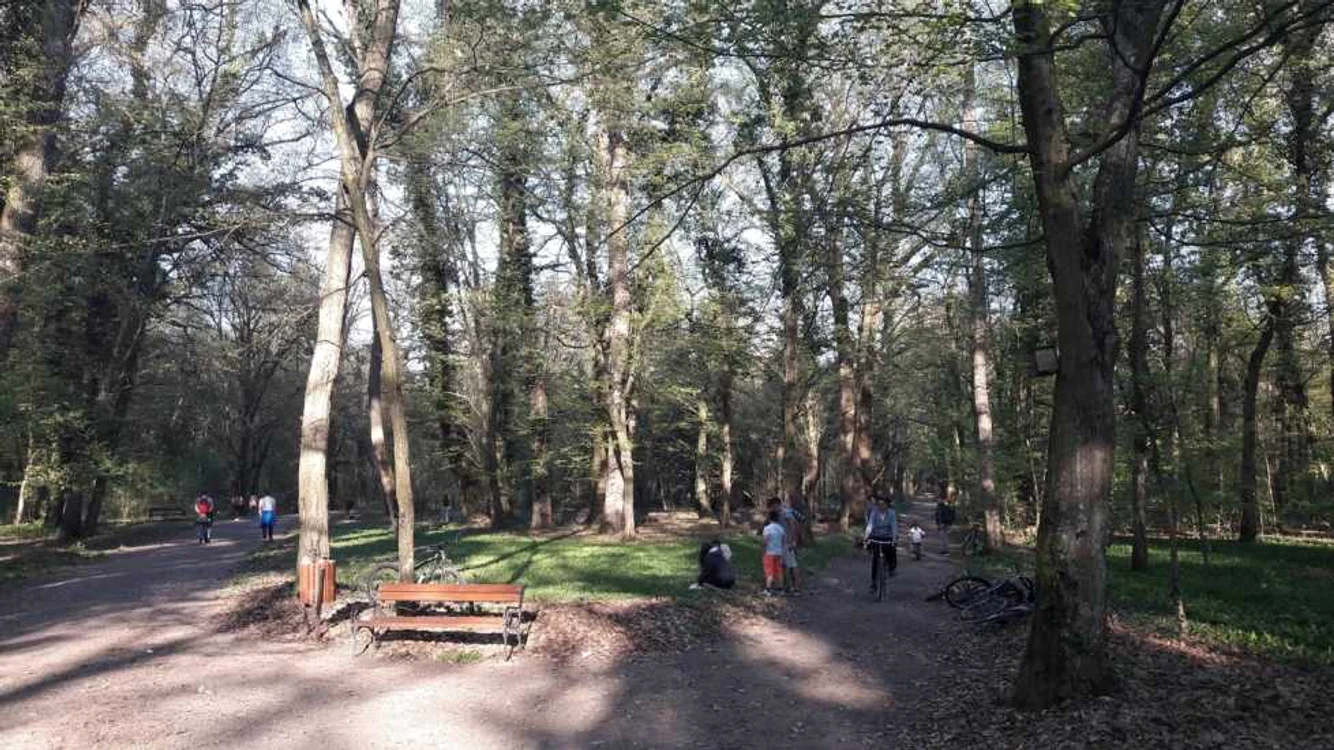 Parcul Ambrozy de la Bazoş FOTO Ştefan Both
