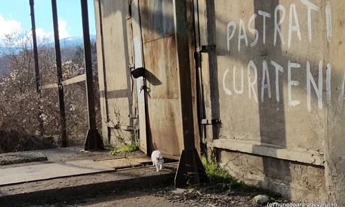 Lupeni  Foto Daniel Guță  ADEVĂRUL (77) jpg
